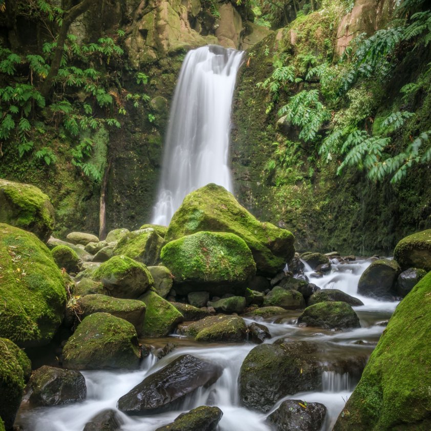 Azorean waterfall